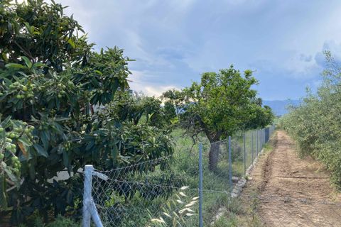 Finca i El Perello, Tarragona, El Perello - € 35.000 | Ref: Finca rústica p - foto 21